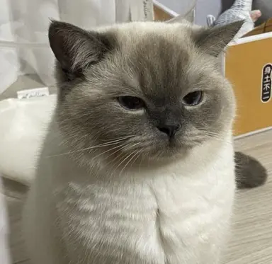 Profile image of 나기 세이시로