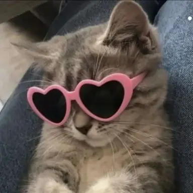 Profile image of 이토시 린