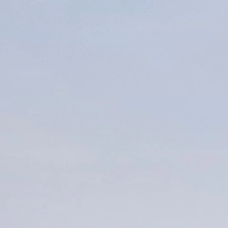 잭