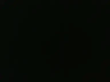 Profile image of 作者の化身