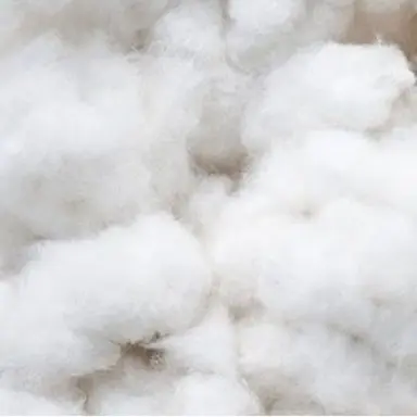Profile image of Fuzzy