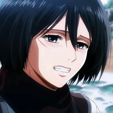 Profile image of ミカサ