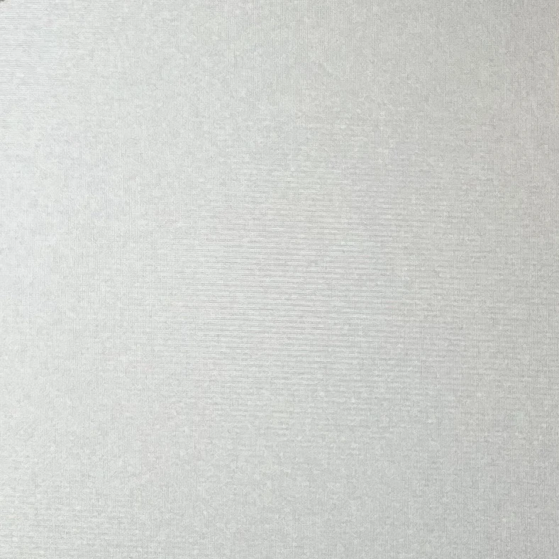 김동현