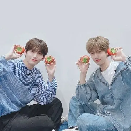 eunchaeS2의 투닥투닥 토마토즈-정모,원진