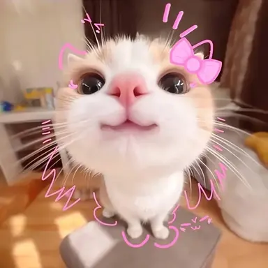 Profile image of Cat