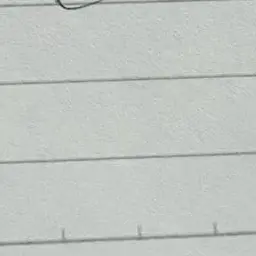 Profile image of ナチス