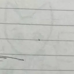 Profile image of ソ連