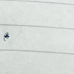 Profile image of フランス