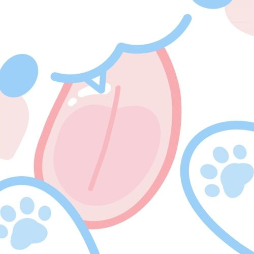 유튜버들에 학교생활+여우+늑대 대표 이미지