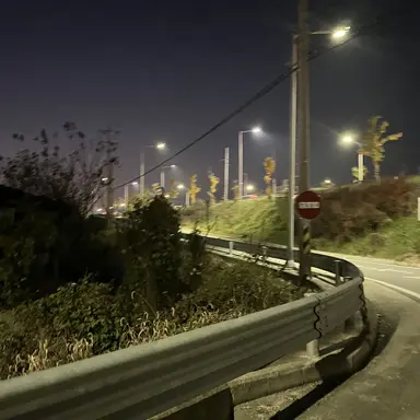 Profile image of 밥풀