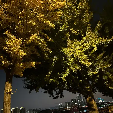 Profile image of 우유참치