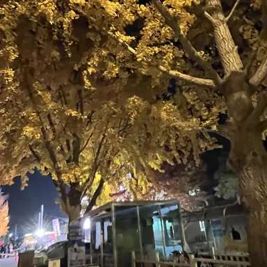 Profile image of 유기사