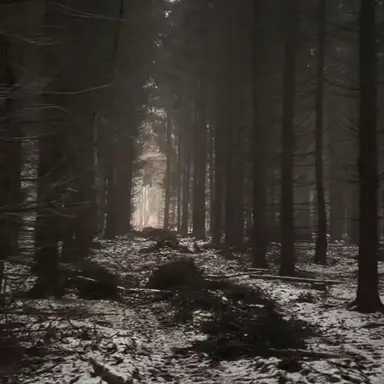 Profile image of 벨키