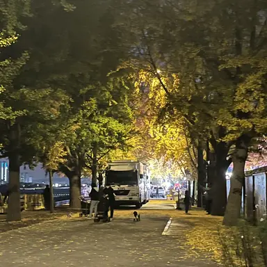 Profile image of 준브레드