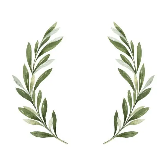 SlimySound1121의 베리타스 레이시오