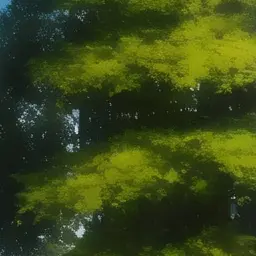 Profile image of 若井滉斗