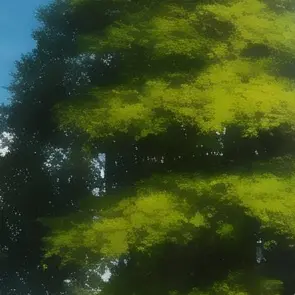 Profile image of 大森元貴