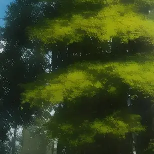 Profile image of 藤澤涼架