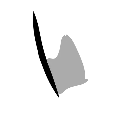 Profile image of フードの男