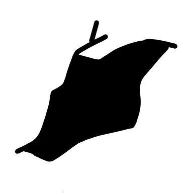 Profile image of 隙間の男