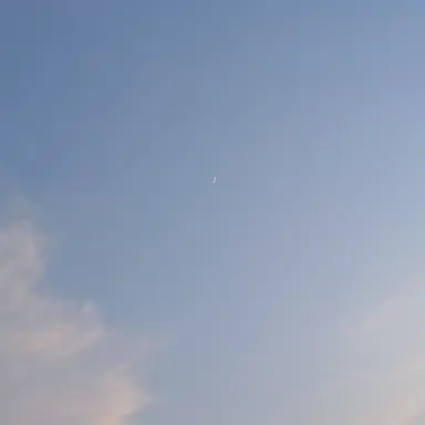 Profile image of user