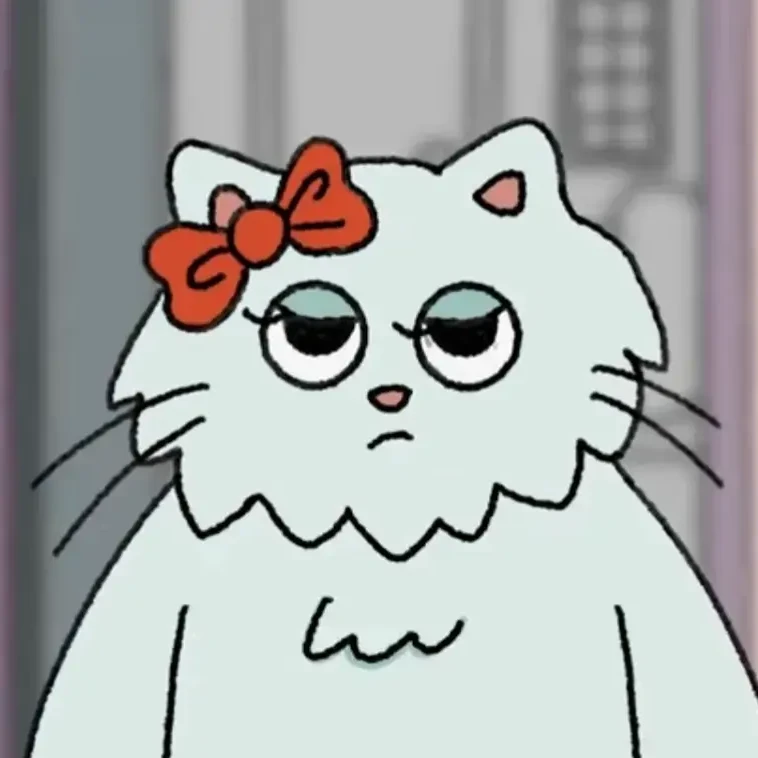 흰색 고양이