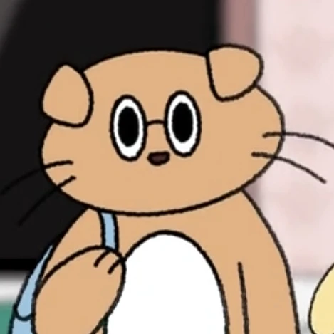 주황 빛 고양이