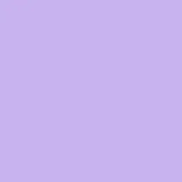 Profile image of きょーと