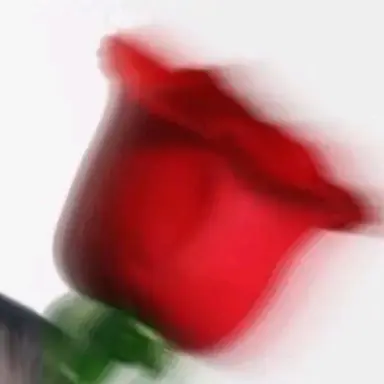 Profile image of 박지훈