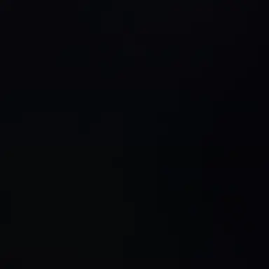 Profile image of 배이