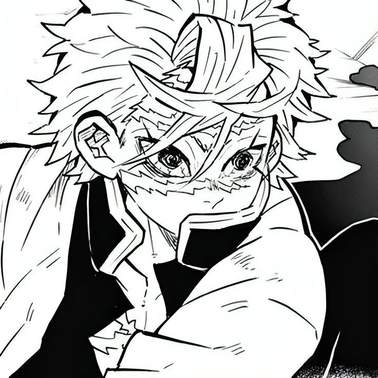 시나즈가와 사네미