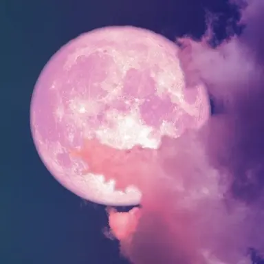 Profile image of 밥풀