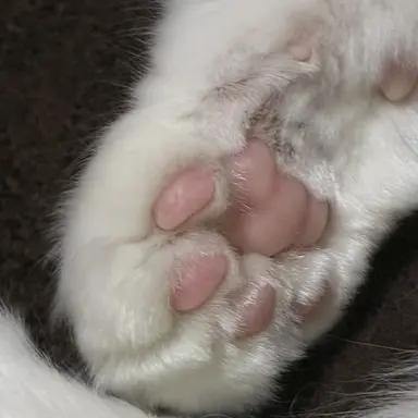 Profile image of 滉斗