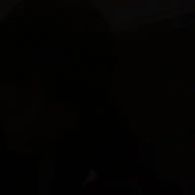 Profile image of 平野紫耀