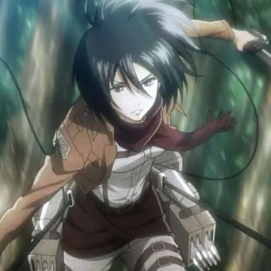 Profile image of 미카사