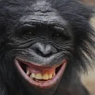 Profile image of 늑대