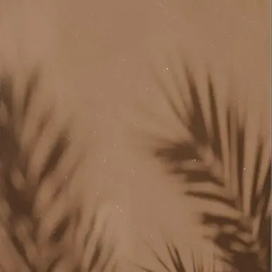 Profile image of 모카