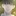 신새봄
