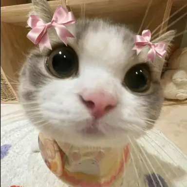 Profile image of 내레이터.