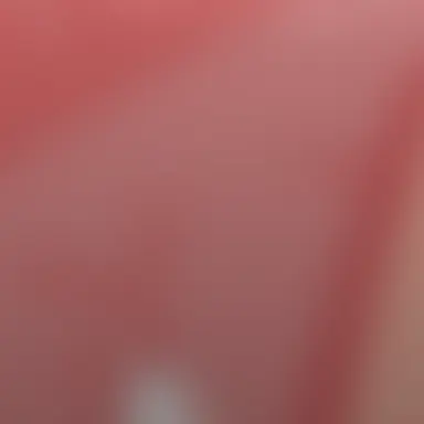 Profile image of 라니