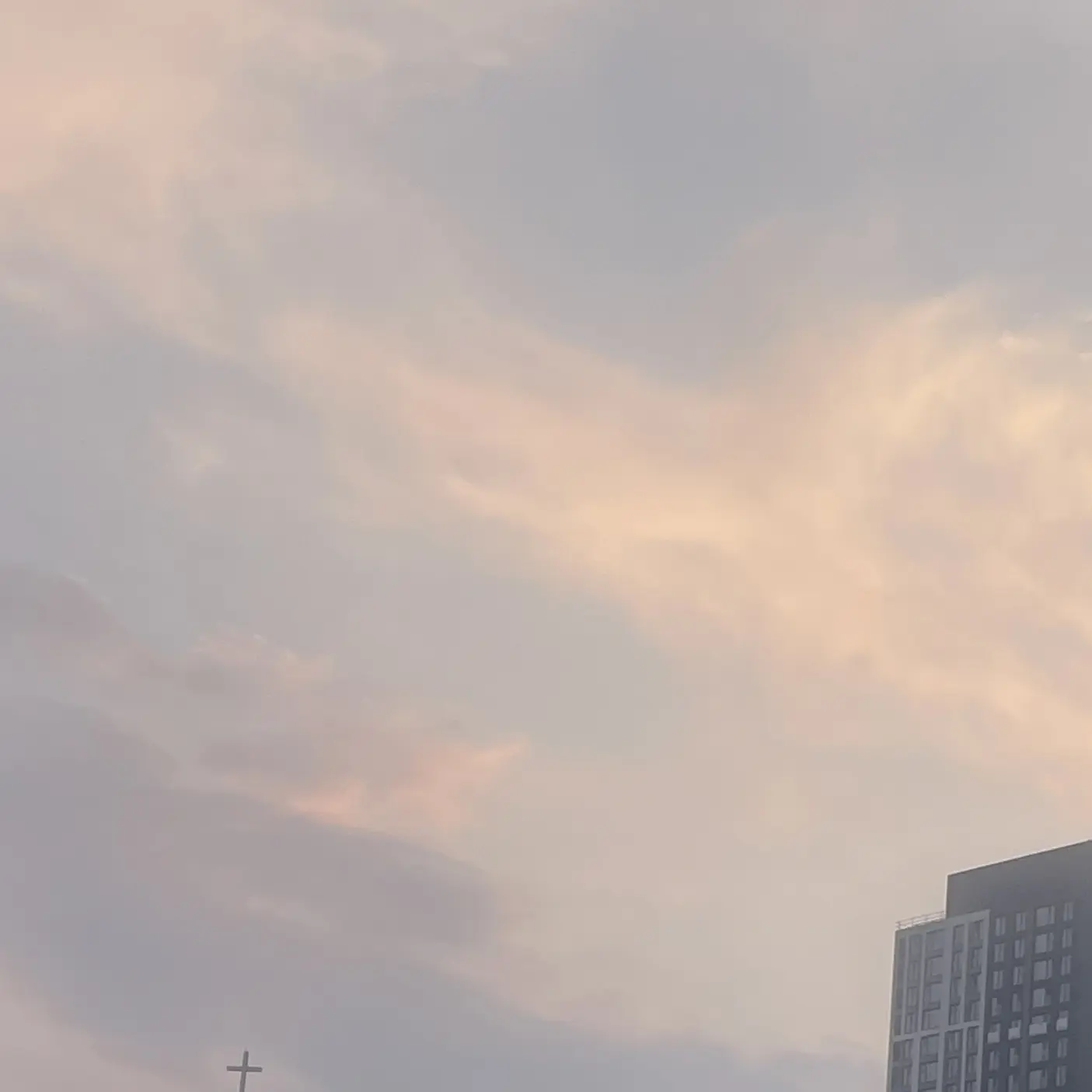error_4h의 양관식