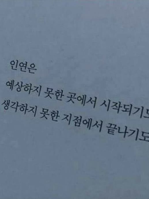 아지트 중고등학교 f6 + 늑대,여우 대표 이미지
