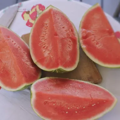 Profile image of 아마야 유우토