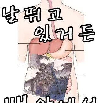 Profile image of 미츠루