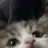 이민호