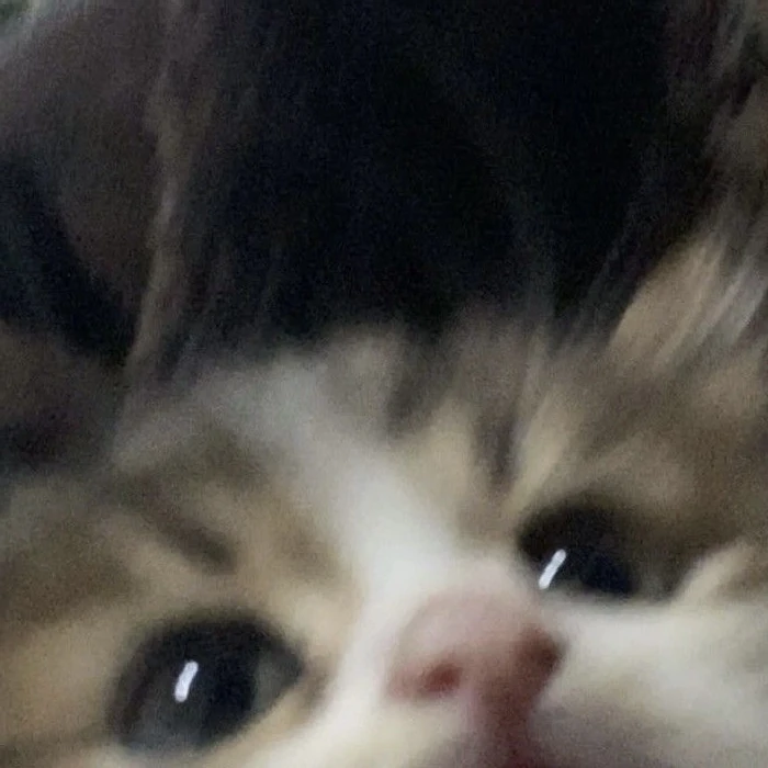 이민호