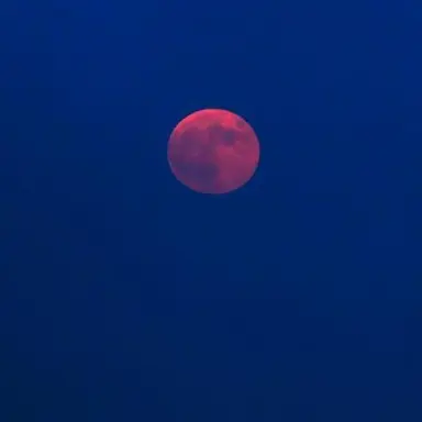 Profile image of 亮平