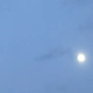 Profile image of りん