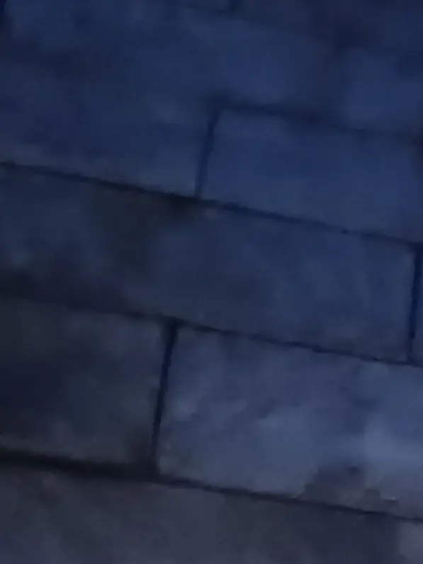 RaggedLeaf1700의 自分用です🙇