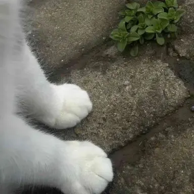 Profile image of 서한솔